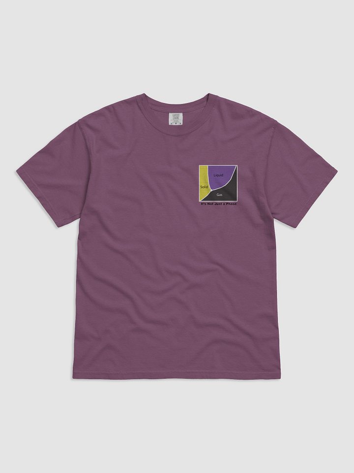It's Not Just a Phase- Non Binary T Shirt product image (4)