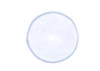 Regalia Orbit Merchandise Exchange