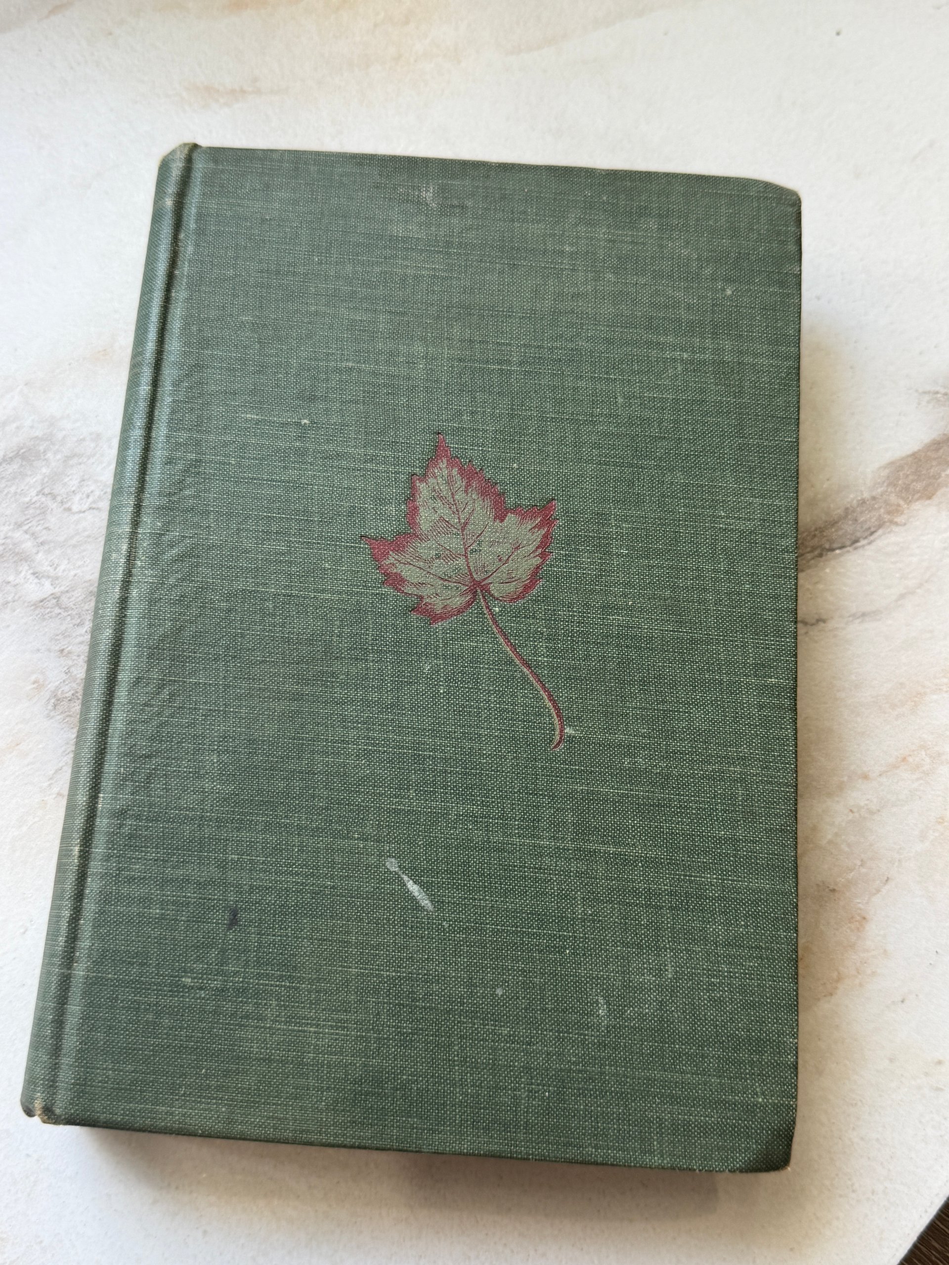 c. 1910’s Rory O’More | Samuel Lover | Antique Illustrated Hardcover product image (2)