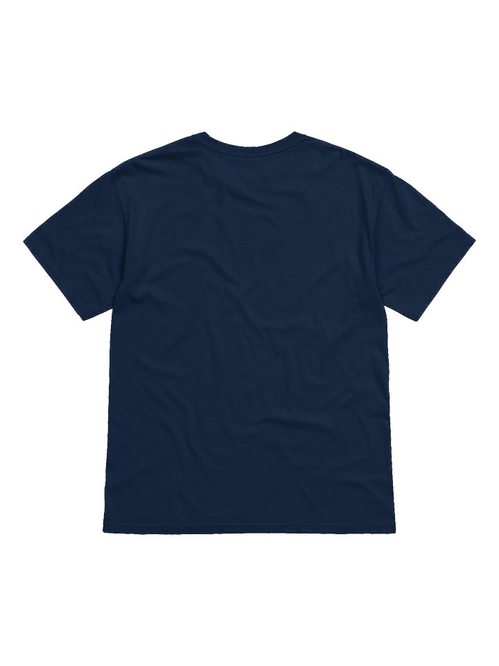 Woodcock Bird Garment Dyed Tee product image (14)