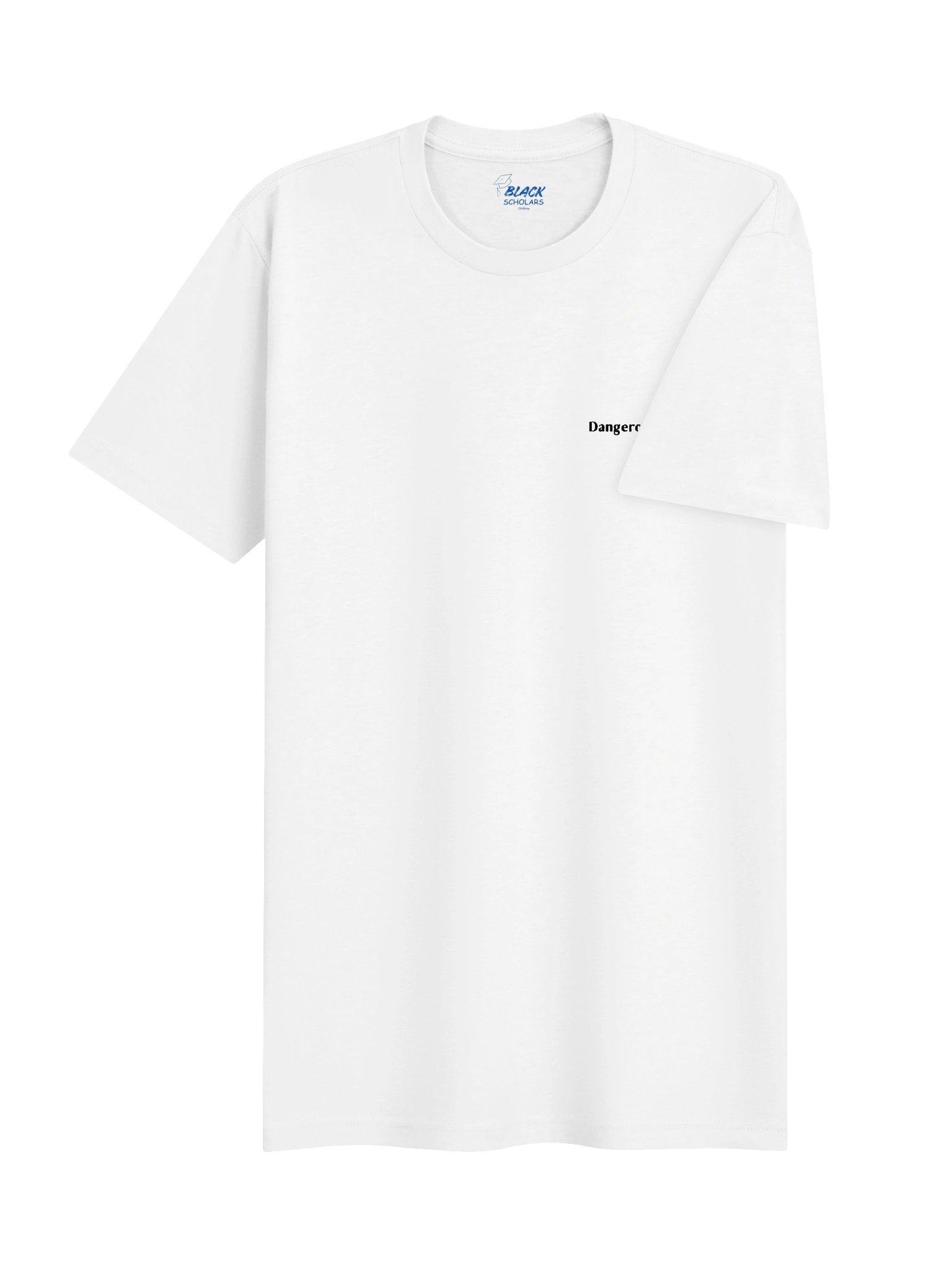Dangerously literate. Embroidered. Tee. product image (4)