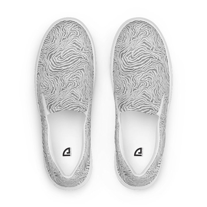 Light Grey Snake Canvas Shoes product image (1)