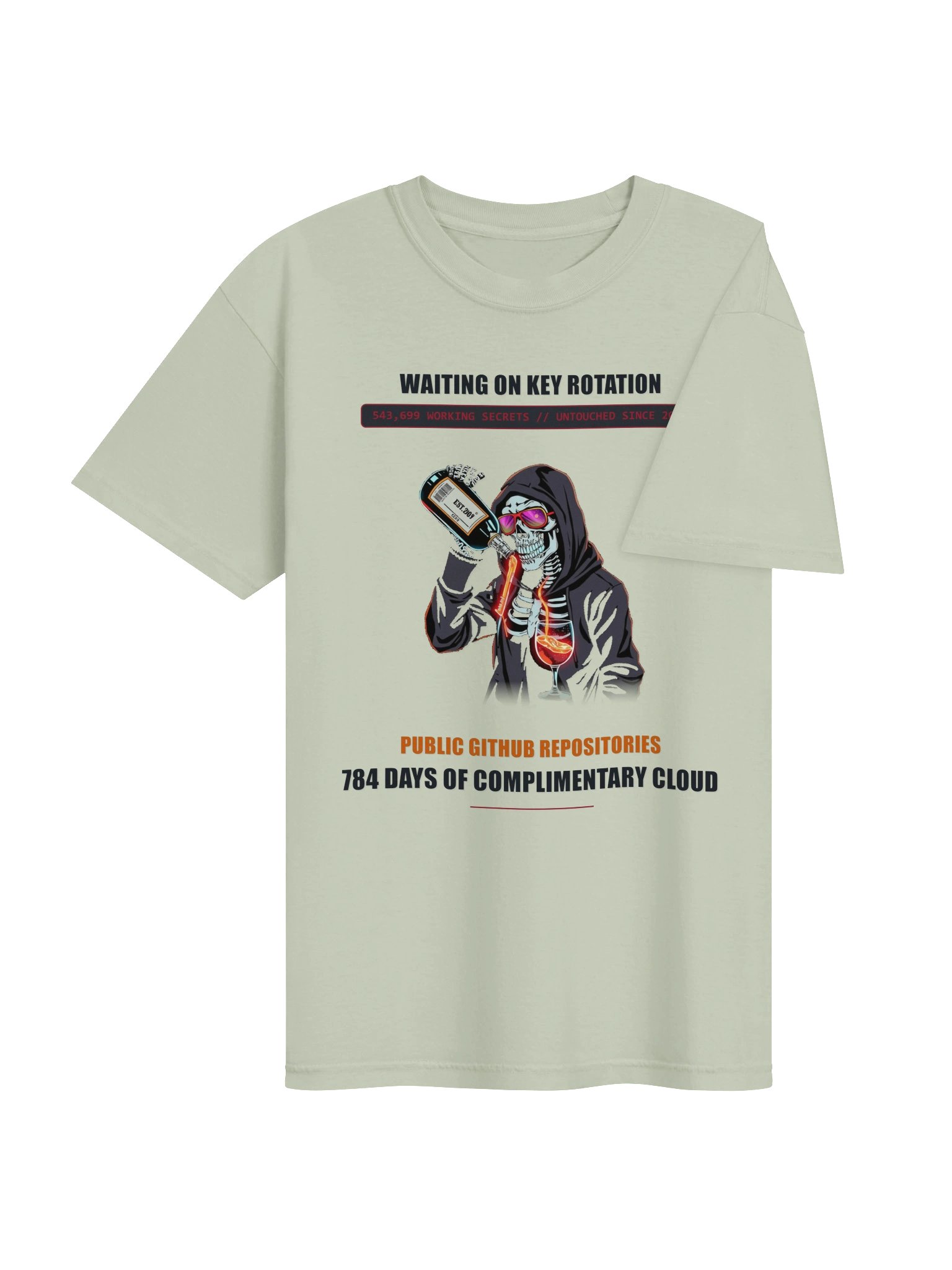 Waiting On Key Rotation // 784 Days In Public Heavyweight Tee - Light product image (15)