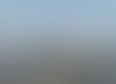@dayz's tag thumbnail