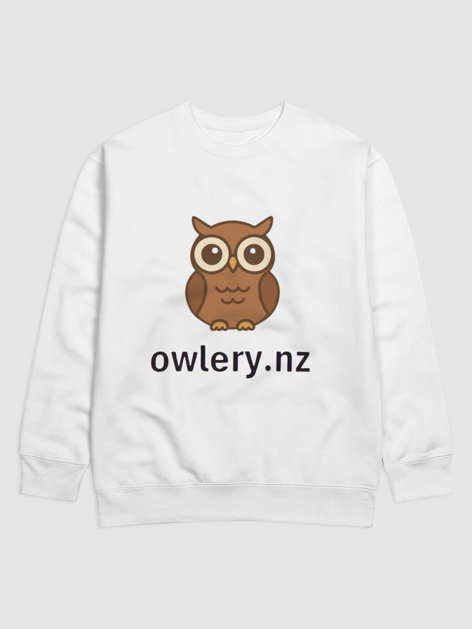 Owlery Sweater product image (1)