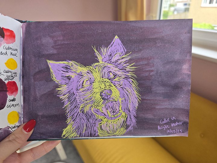 Collie product image (1)