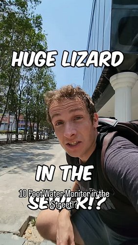 I Found a Giant Water Monitor in the Middle of the City... 🇲🇾🦎

I was walking through the streets of Malacca when I spotted s...