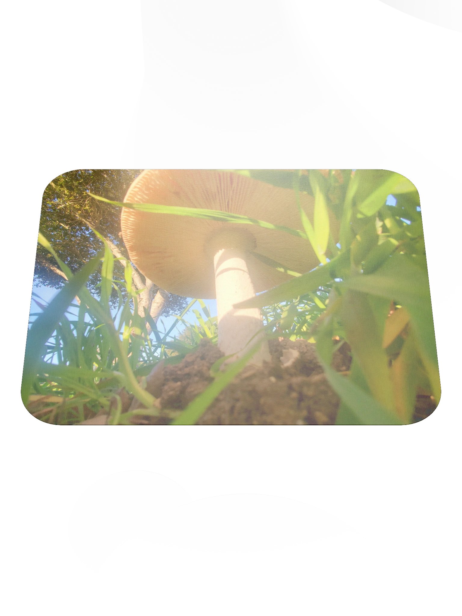 Sunlit Mushroom Mouse Pad product image (1)