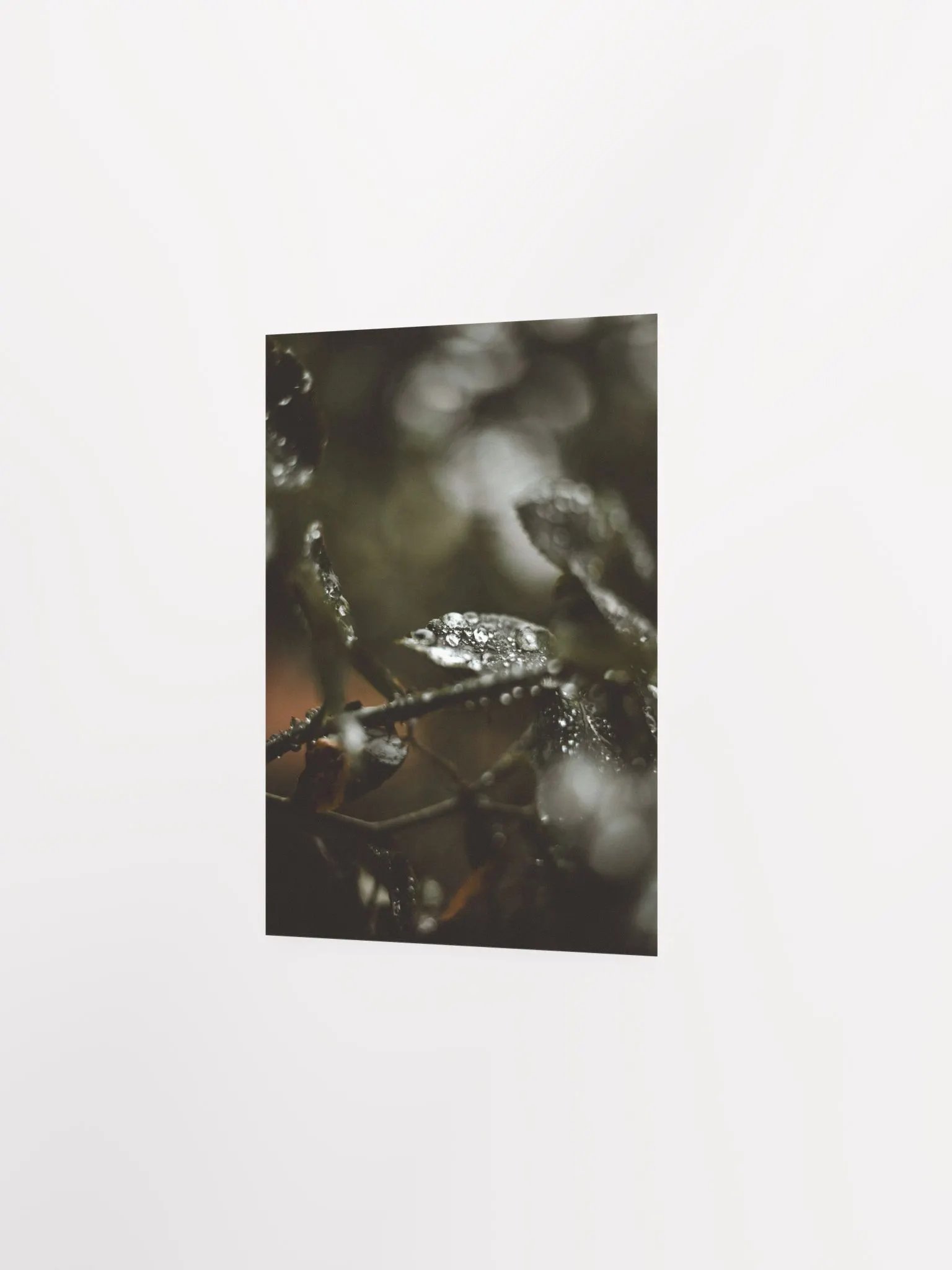 Rainy Day product image (8)