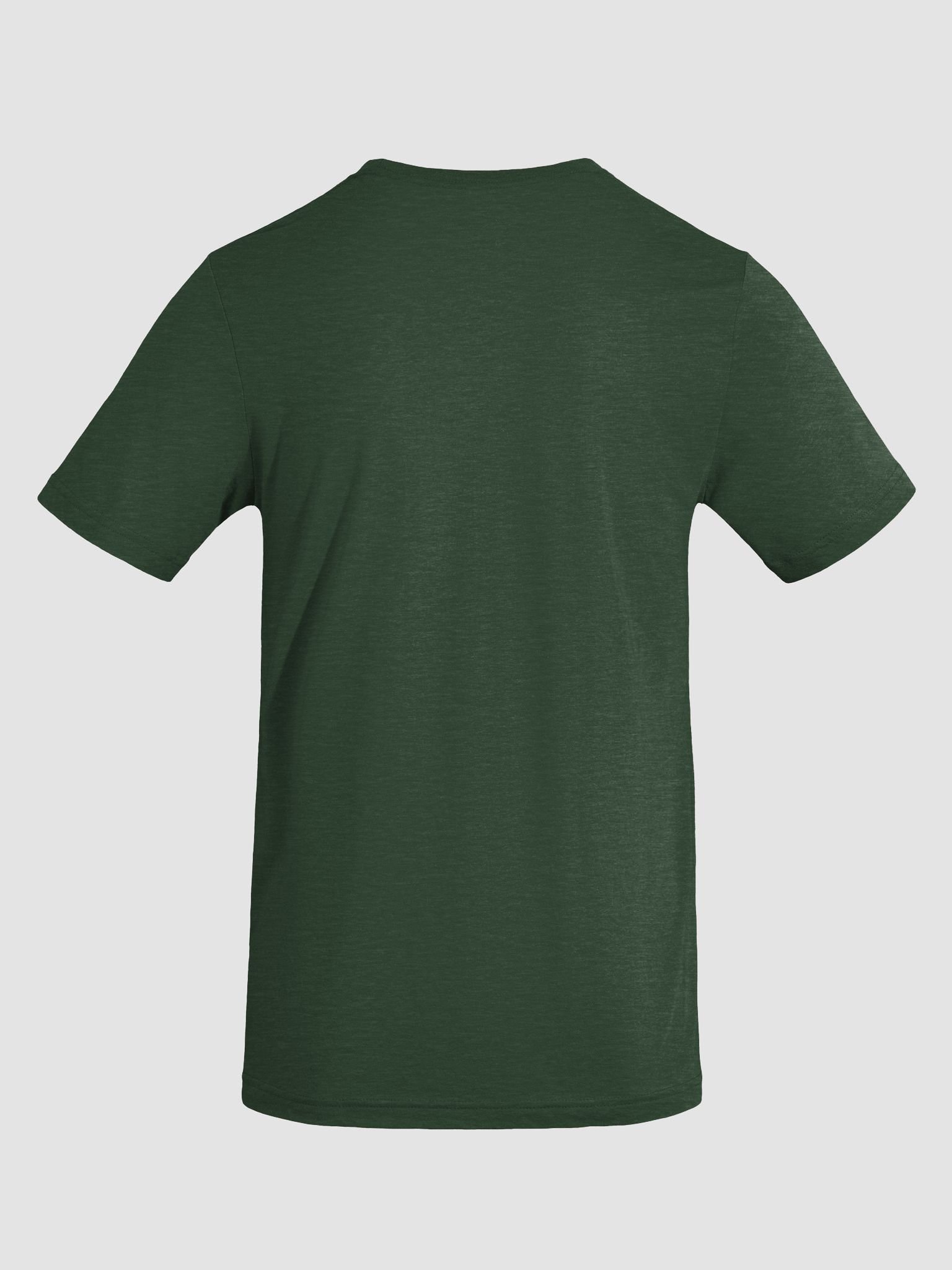 Sunlit Tree Triblend Tee product image (4)