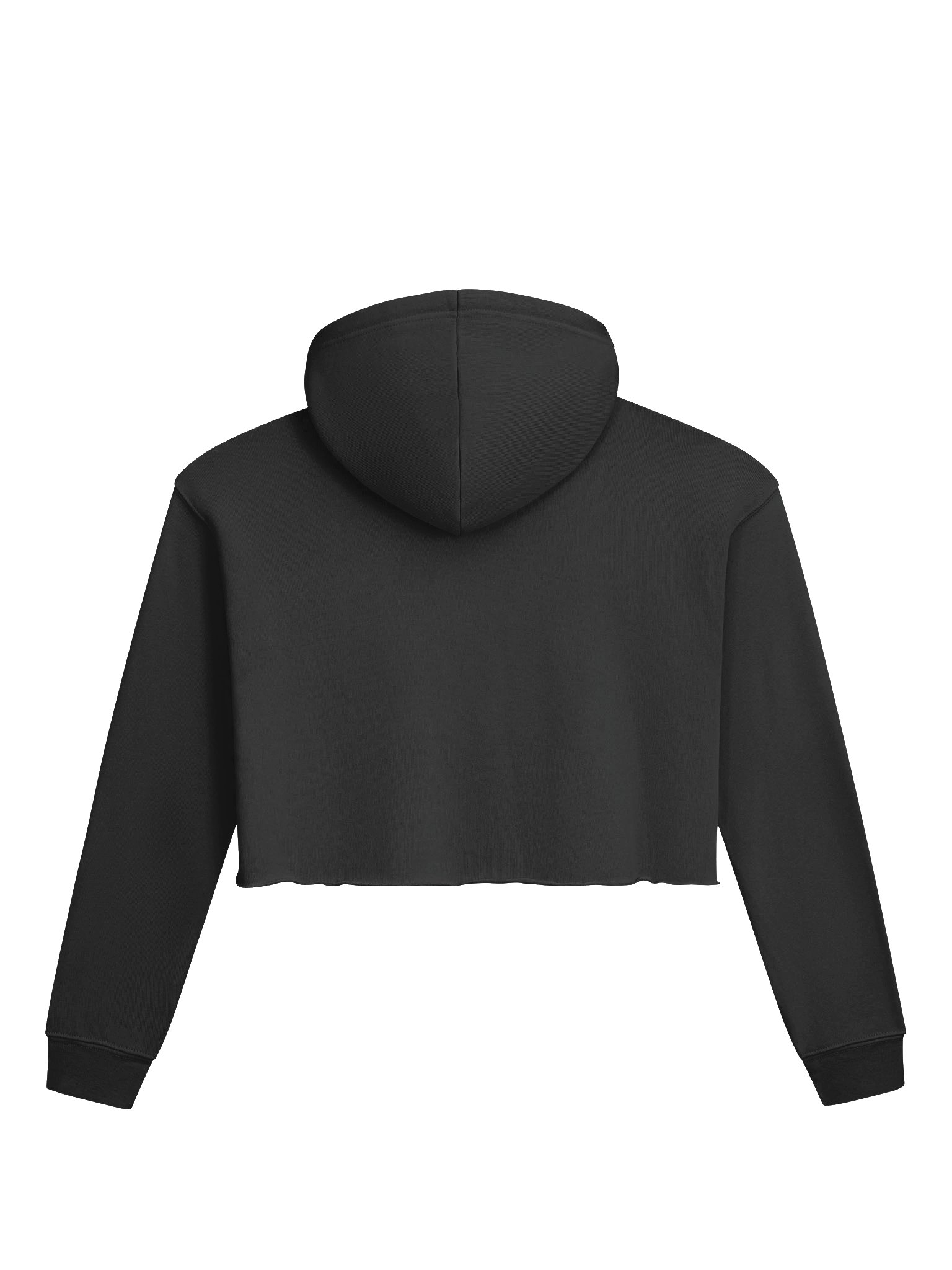 BVLGARIA Fleece Crop Hoodie product image (2)