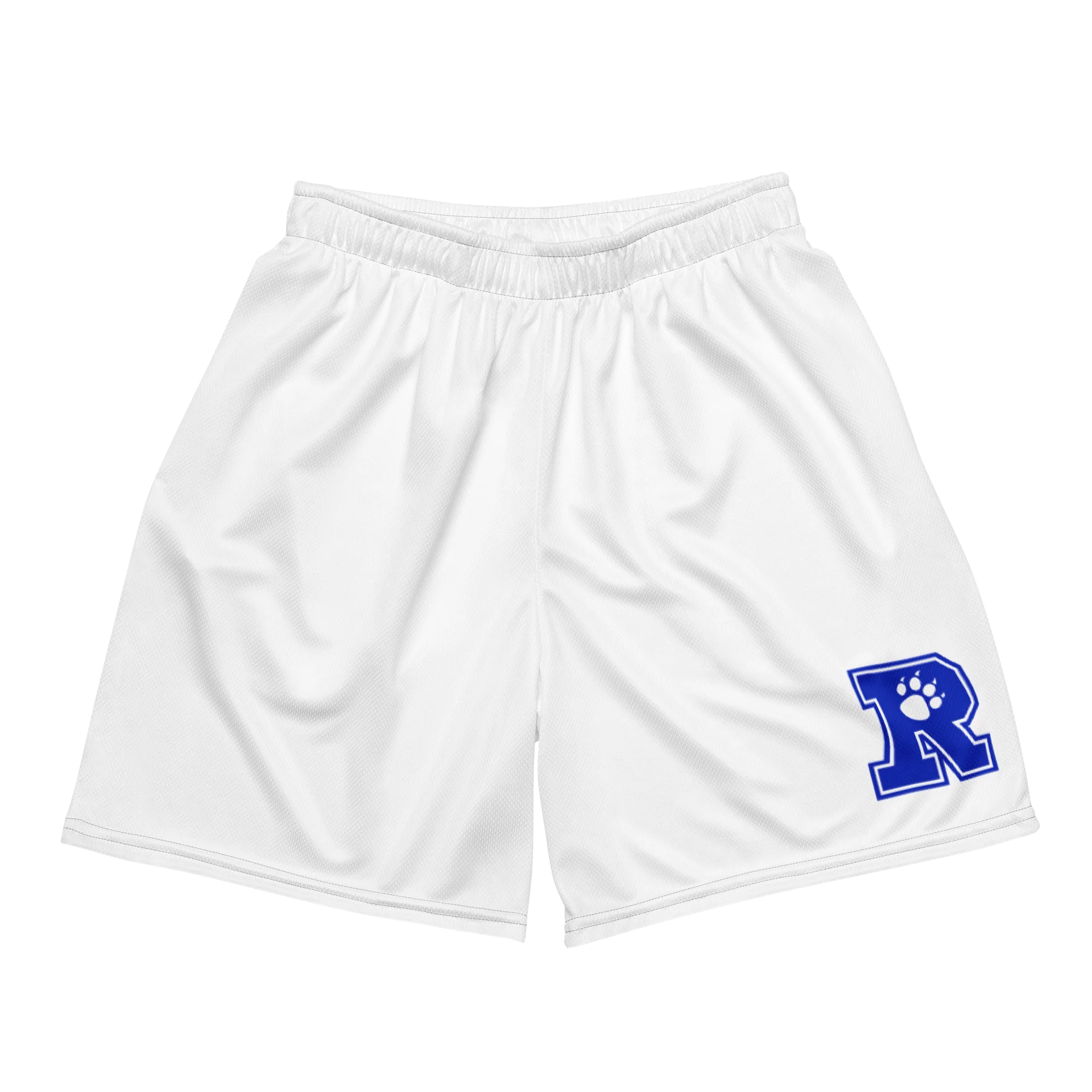 Mesh Shorts | Adult Unisex product image (1)