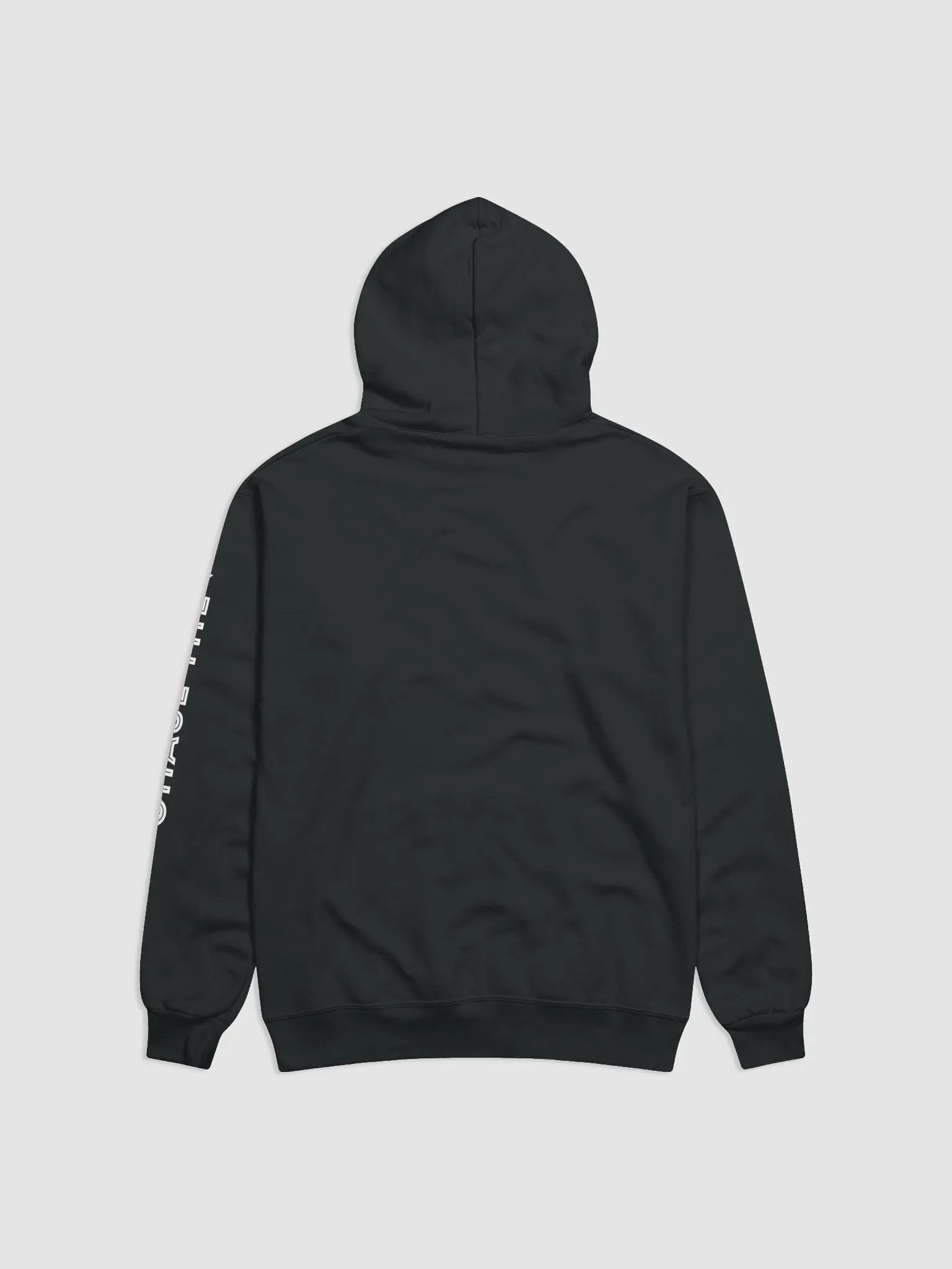 CTC Circle Hoodie product image (2)