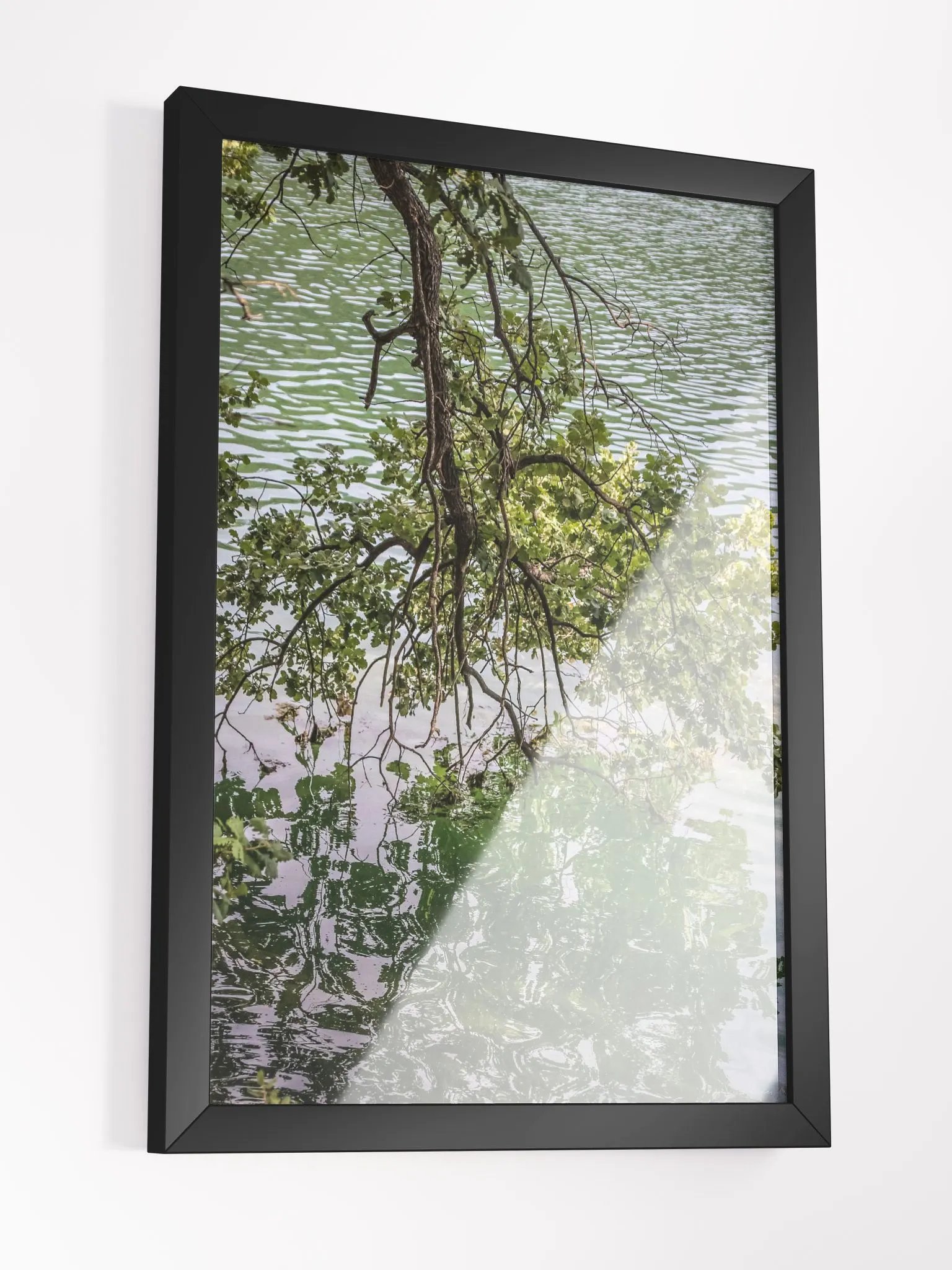 Print Fine Art - Reflections of Serenity - Lac de Carcès, France product image (6)