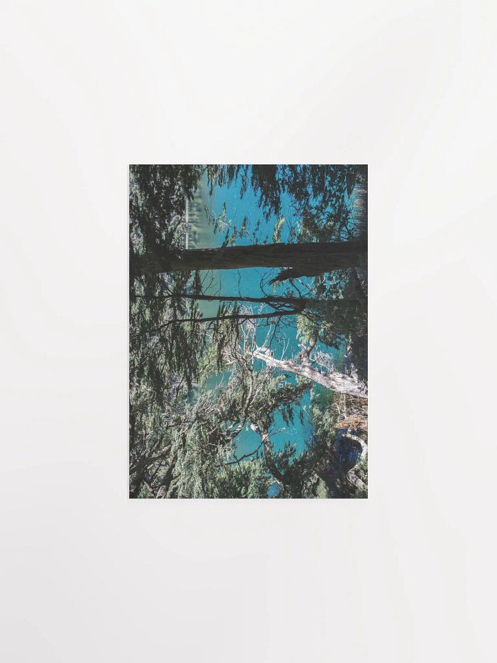 Lago Espejo Patagonia - Enhanced Matte Paper Poster product image (2)
