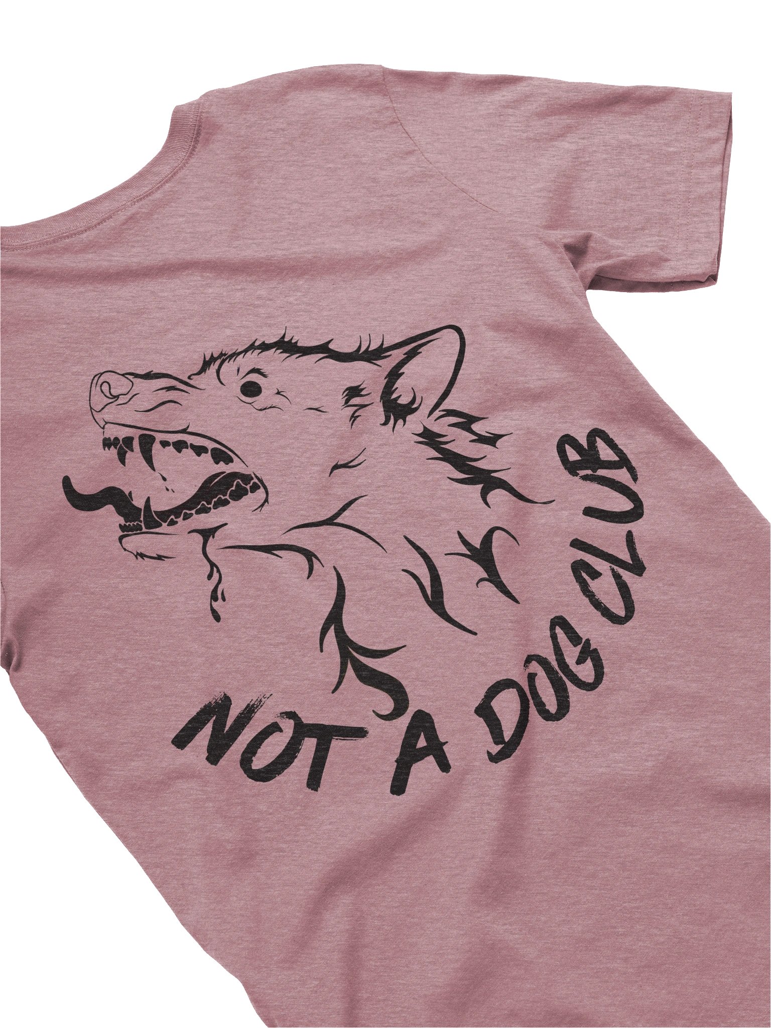 Not A Dog Club Soft Style Tee - Black Edition product image (4)