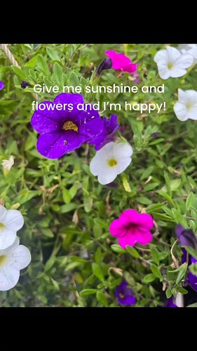 The very beginning of my son’s memorial garden. I want to make this picture perfect for him in the days to come. #gardening #...