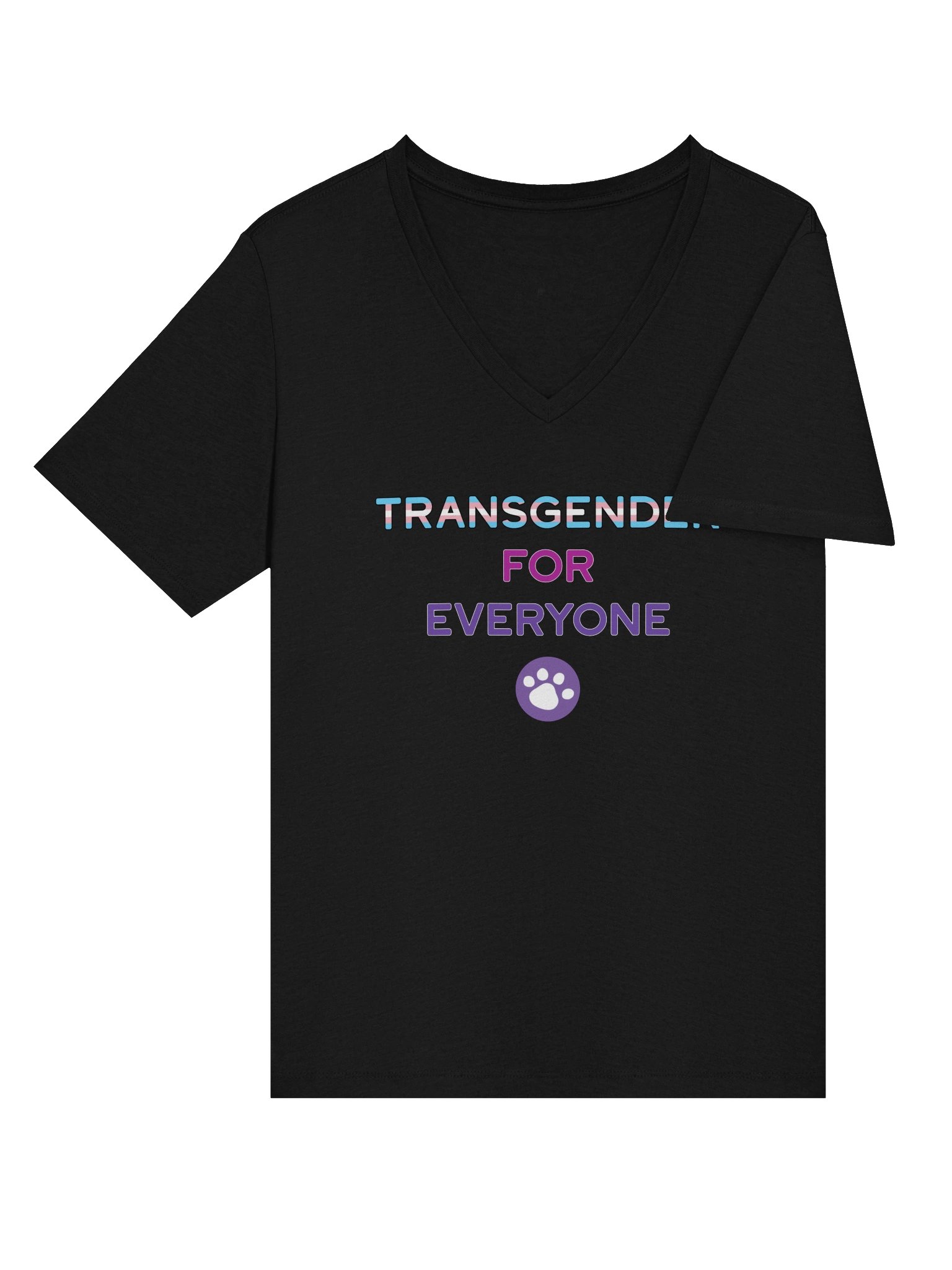 Transgender for Everyone Women's V-Neck product image (16)