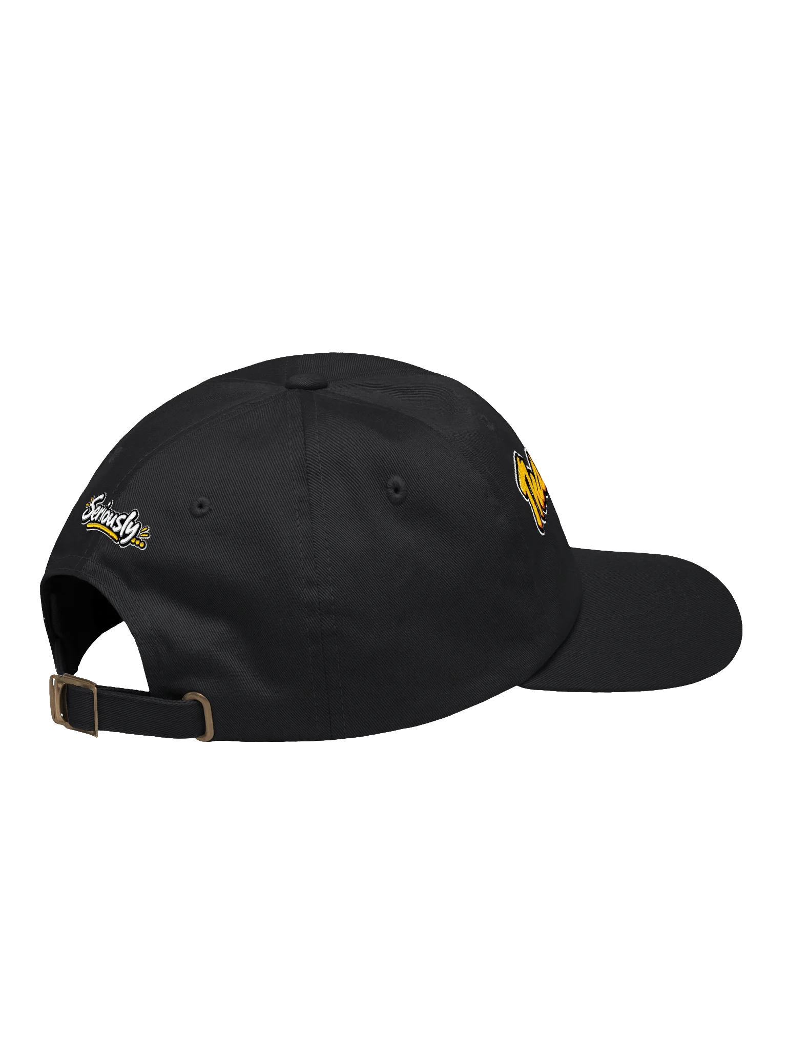Thanks, But No. Dad Cap, Black, view 4