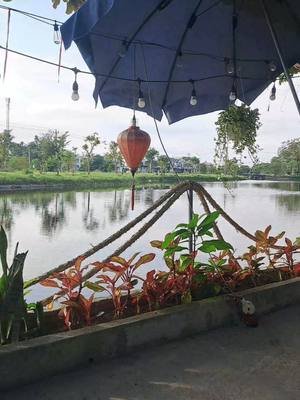 Chào nhau buổi sớm cái nào