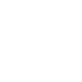slivooo