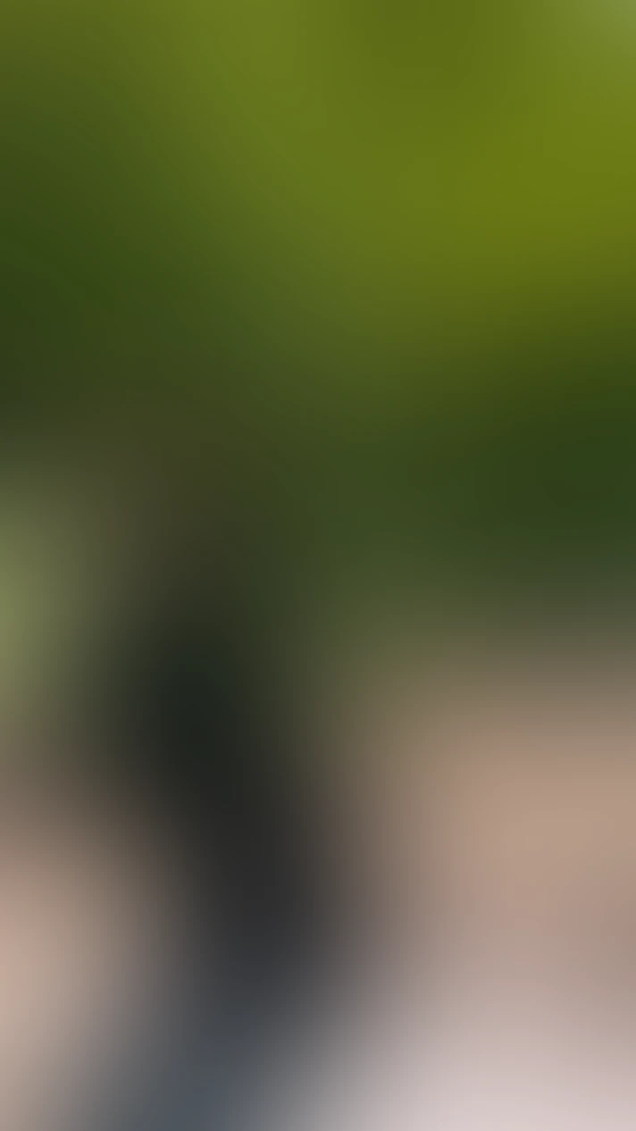 Video thumbnail background