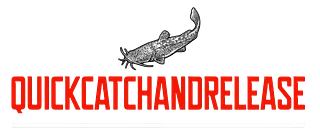 QUICKCATCHANDRELEASE