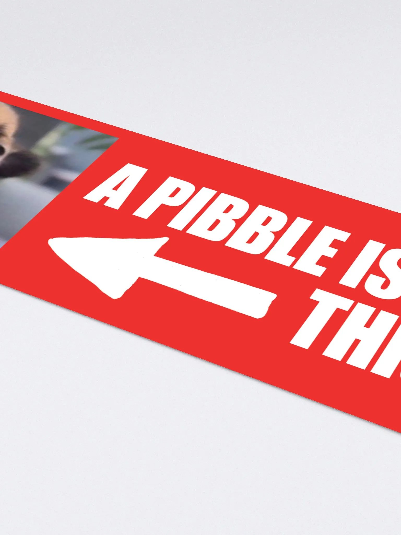 A PIBBLE IS OPERATING THIS VEHICLE product image (4)