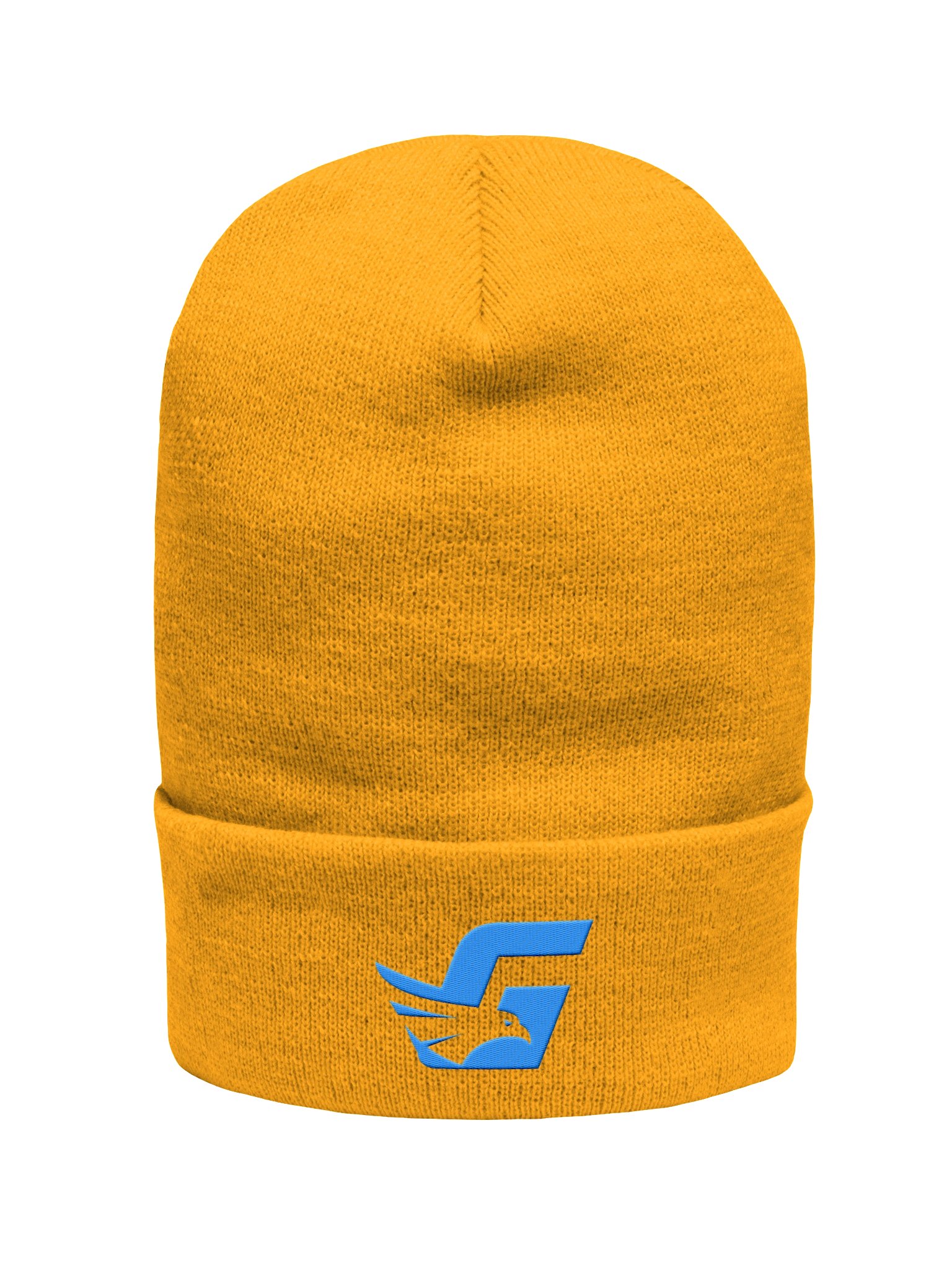 Main Logo Beanie product image (1)