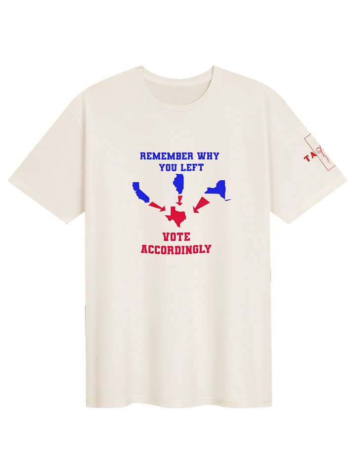 Vote Accordingly Texas product image (1)