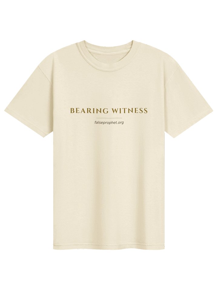 Micah 6:8/Walk Humbly T-Shirt (White) product image (2)