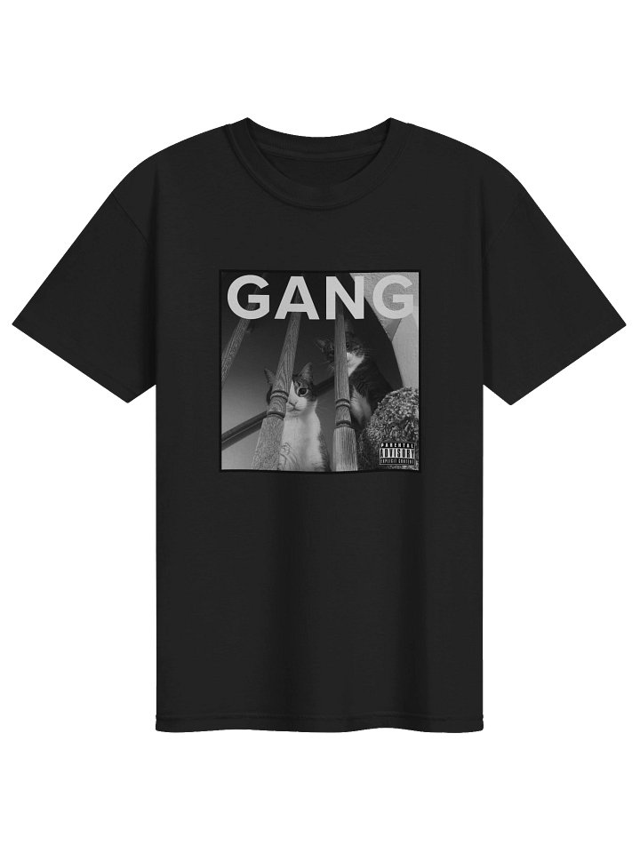 we should start a band tshirt product image (1)