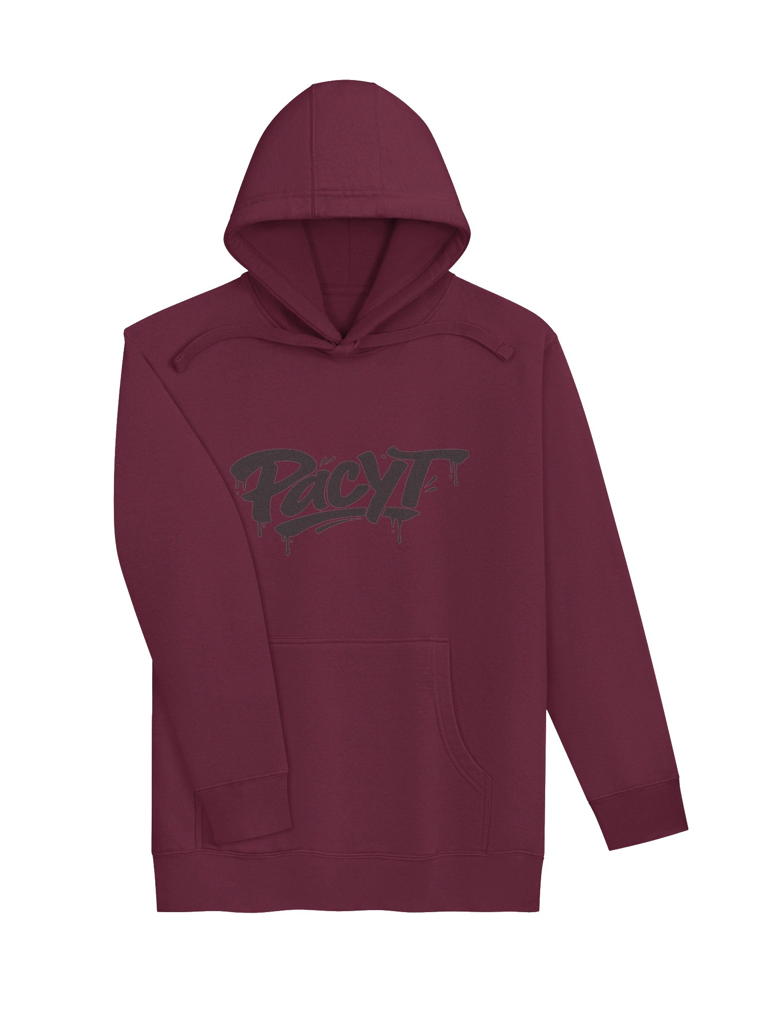 PacYT Hoodie product image (3)