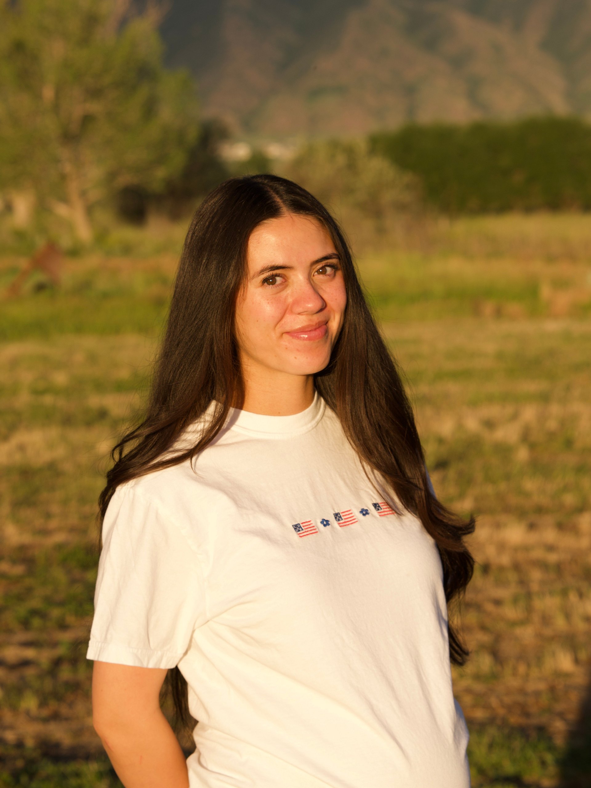 American Flag Flower Embroidered Tee product image (8)
