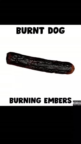 Burnt Dog by Burning Embers out now! #undergroundmusic #altrock #poppunk #midwestemo #musicdiscovery