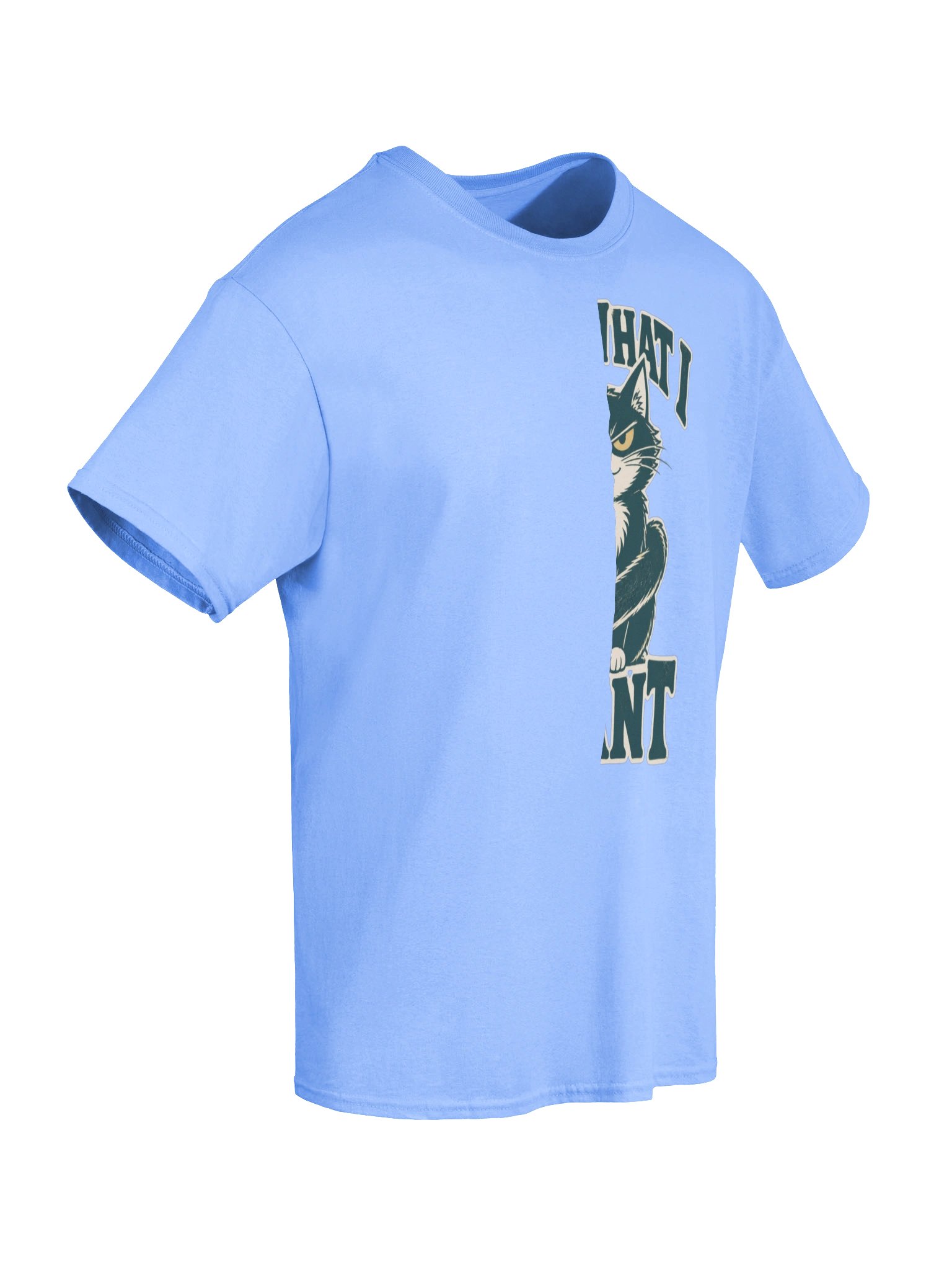 I Do What I Want Cat T-Shirt – Funny Vintage Cat Lover Graphic product image (53)