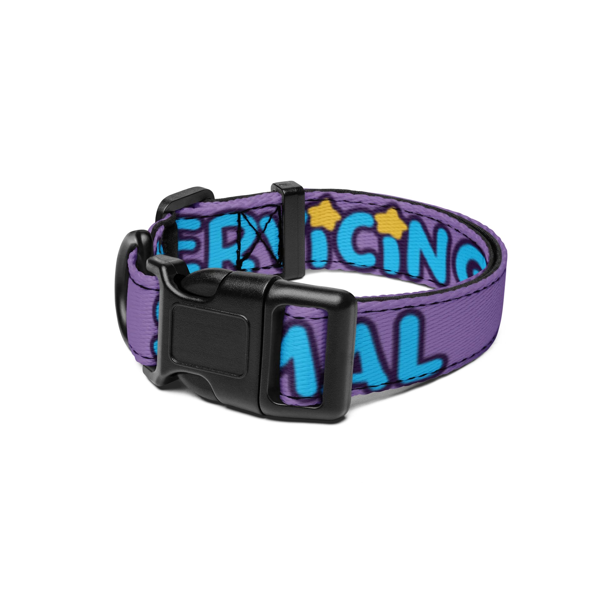 SUS COLLAR product image (1)