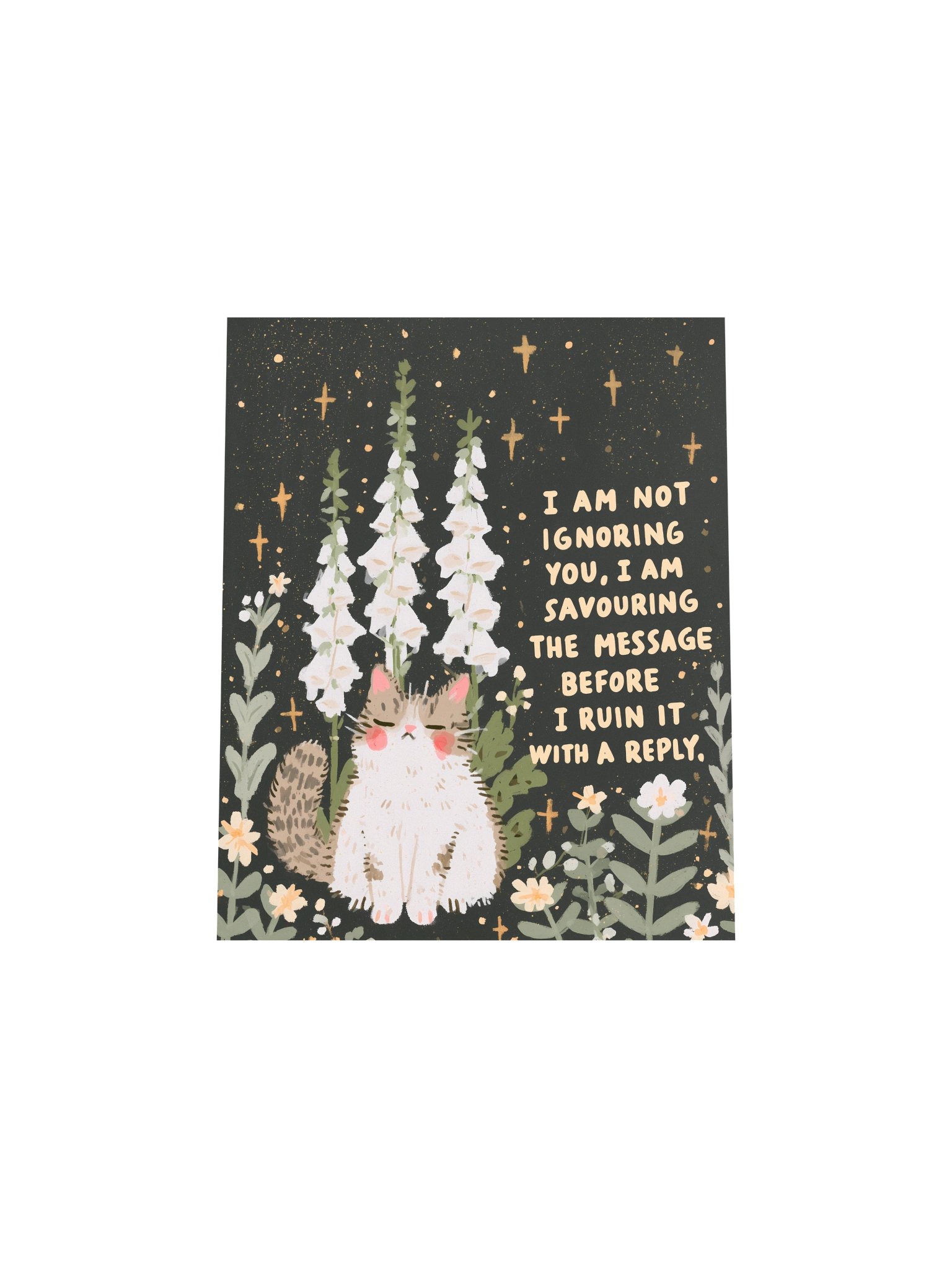 Savouring the Message Cat Poster product image (19)