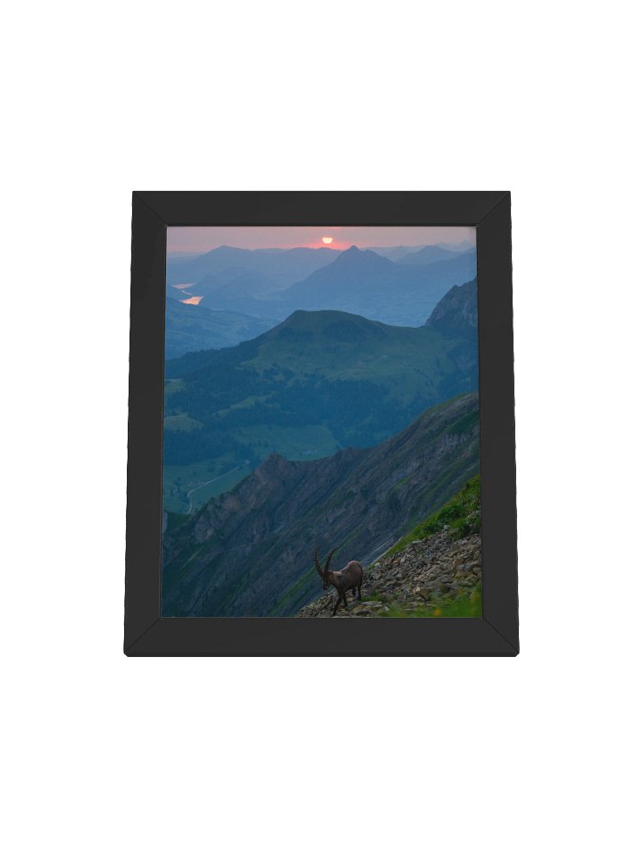 Steinbock auf dem Brienzer Rothorn product image (1)