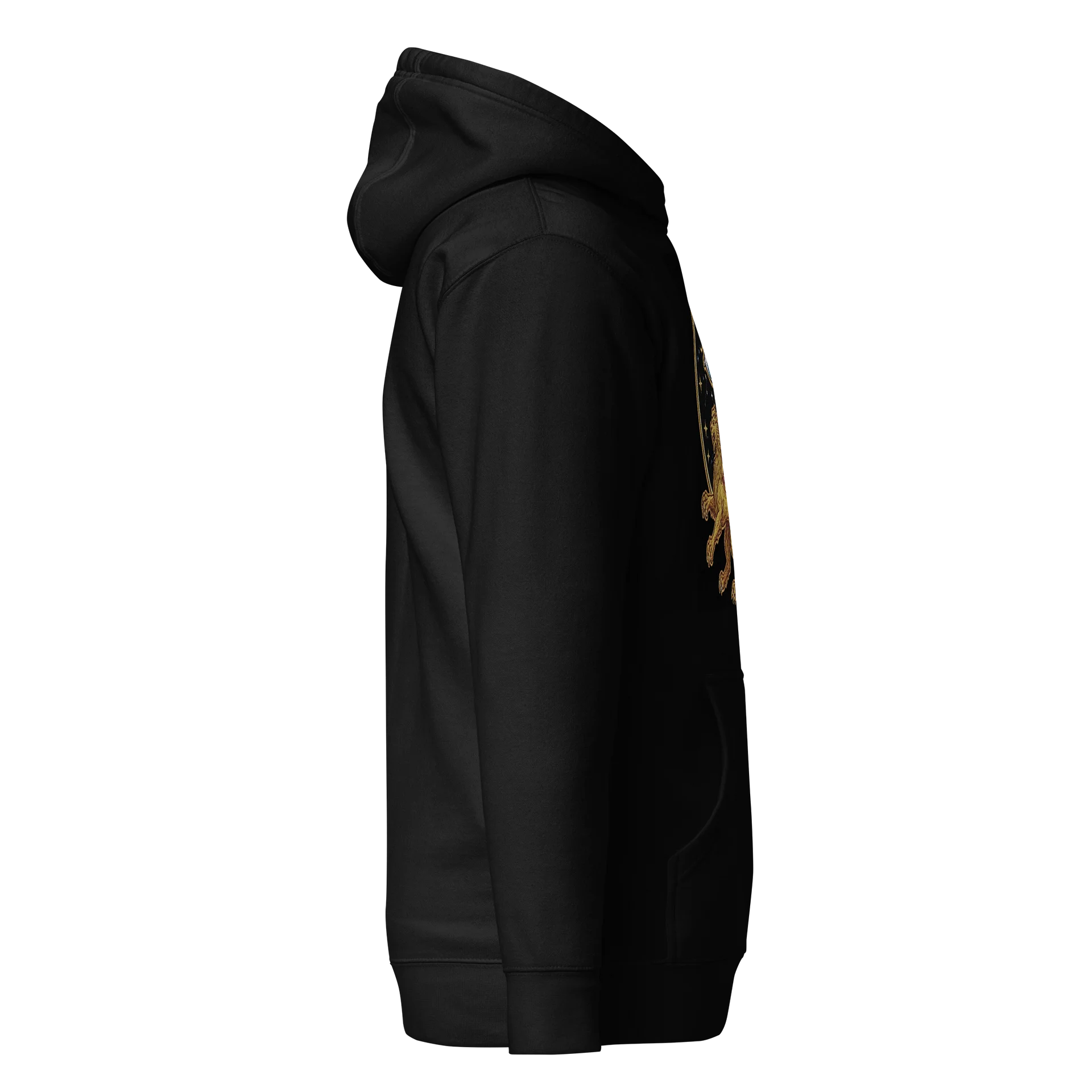 Mythical Griffin Embroidered Patch Hoodie product image (5)