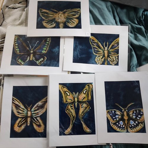 These moths are all together In One listing now 💖 selling them altogether, how they should be. Get them on my website ✨