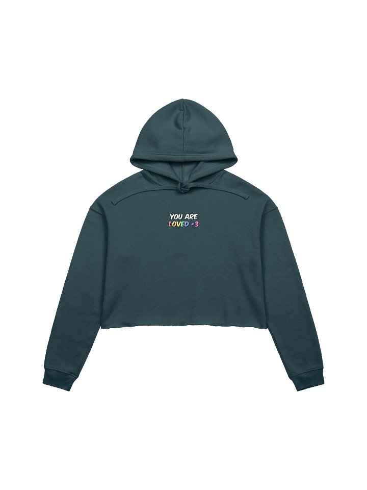 RAINBOW LOVE CROP HOODIE product image (1)