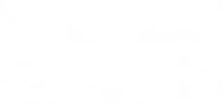 LE BAWSKI