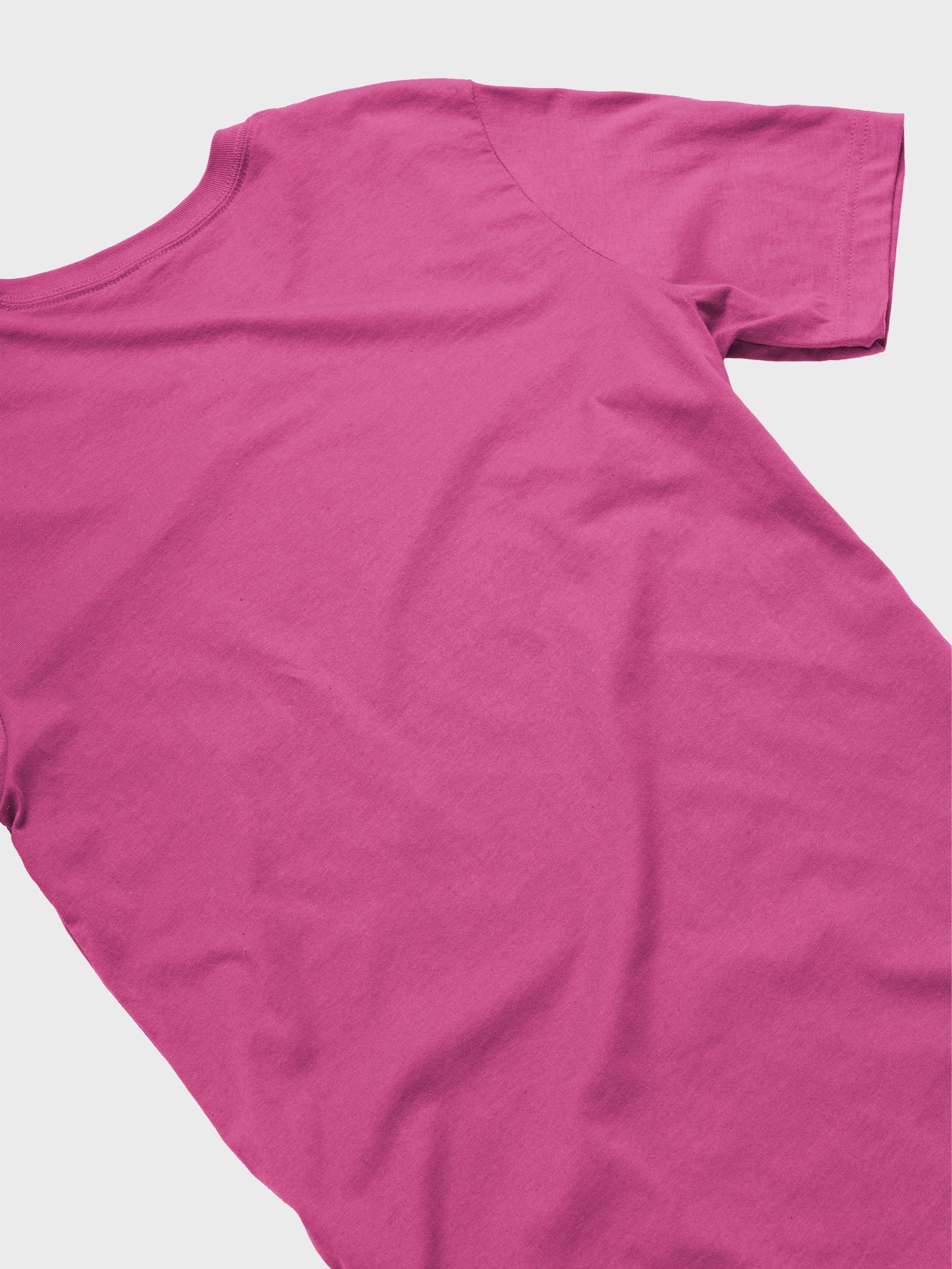 WARNING I BRAKE FOR MAILBOXES UNISEX TEE product image (5)