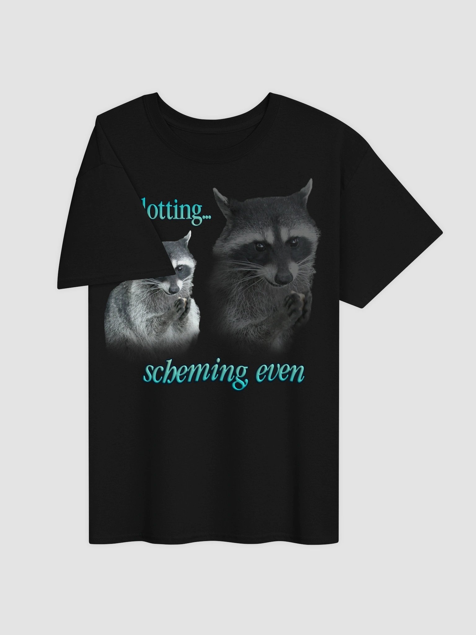 Plotting & Scheming Raccoon T-Shirt product image (15)