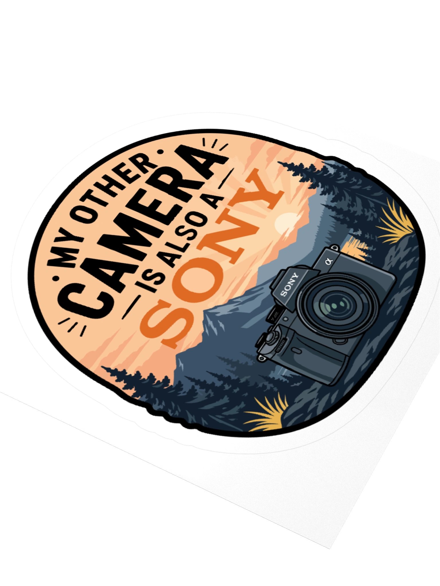My Other Camera is Also a Sony product image (7)
