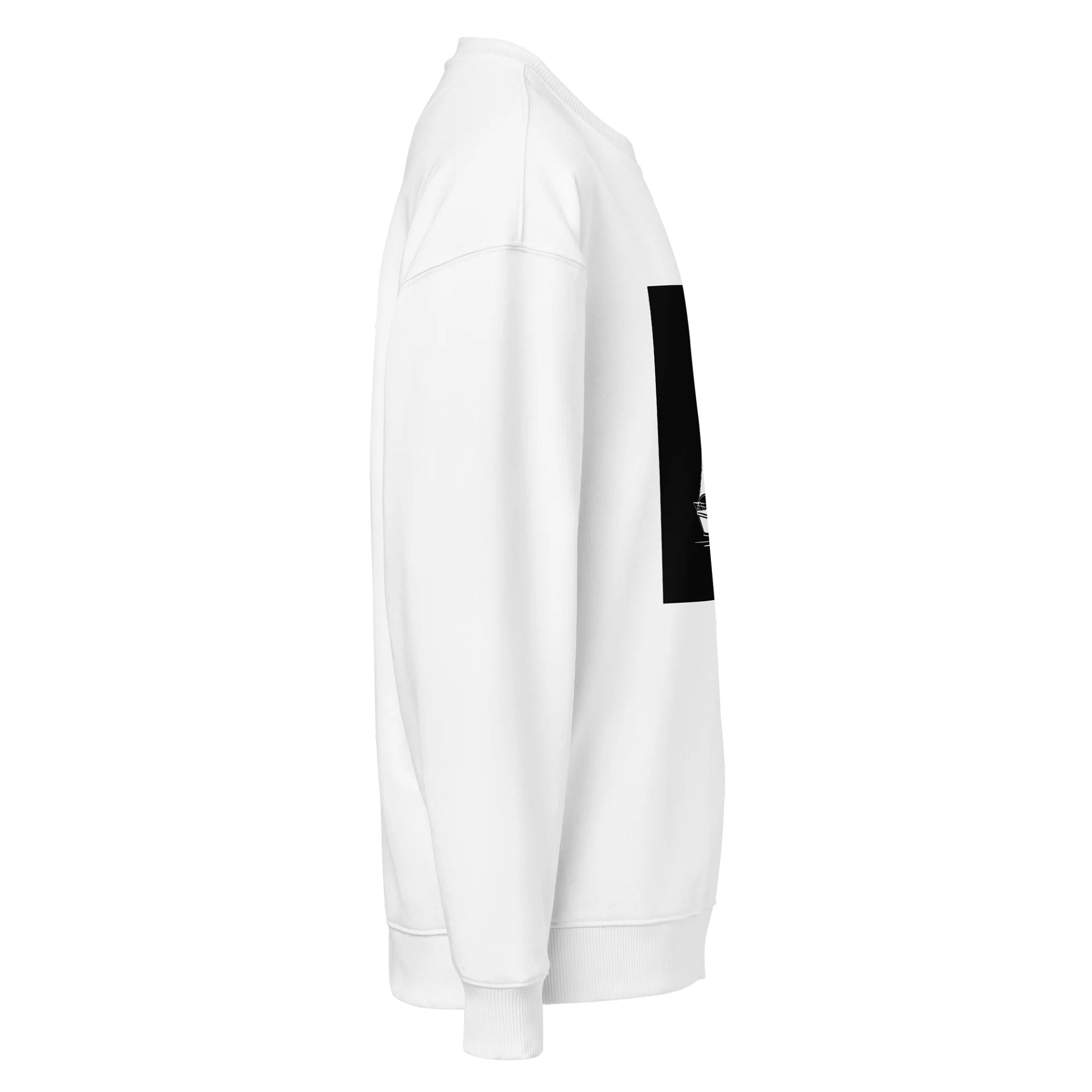 There Are No Rules product image (8)