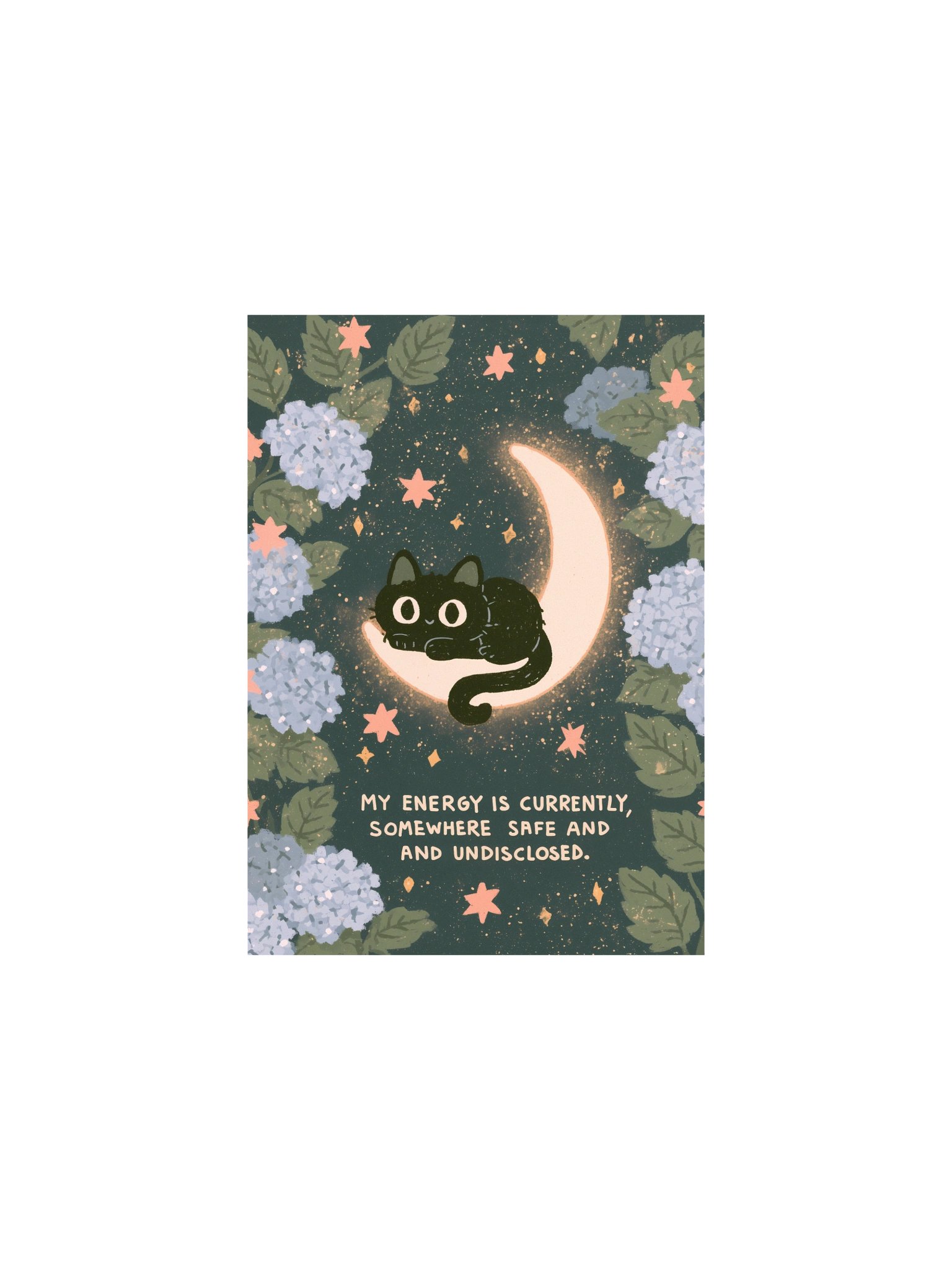 Safe & Undisclosed Cat Moon Poster product image (6)