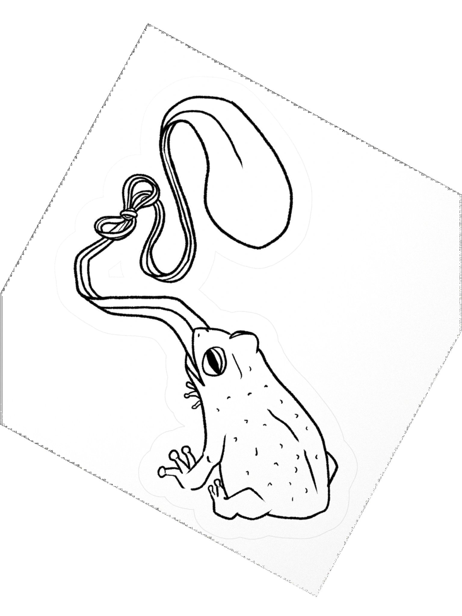 Frogtied Sticker product image (4)