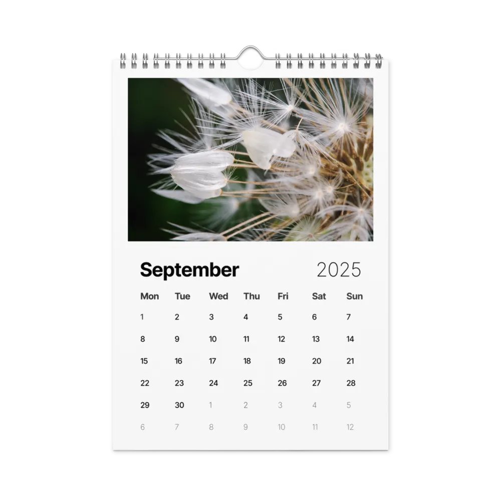 Ephemeral Dandelions 2025 Wall Calendar product image (10)